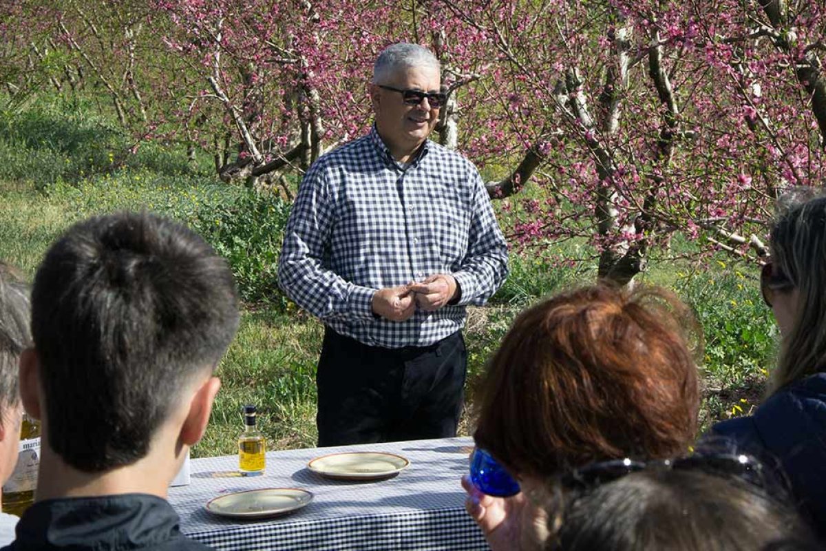 Experiencia de oleoturismo